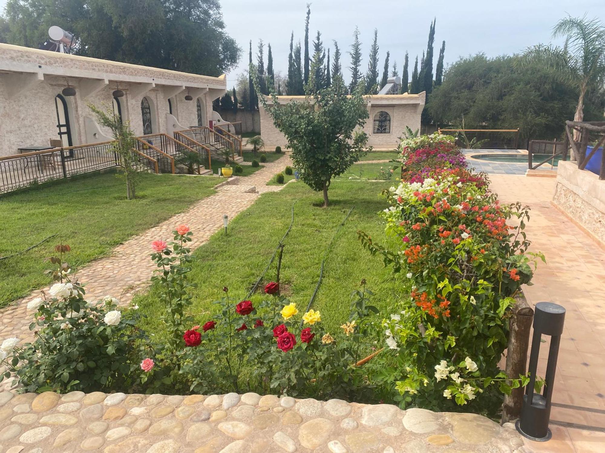 Villa Amma Εσαουίρα Εξωτερικό φωτογραφία