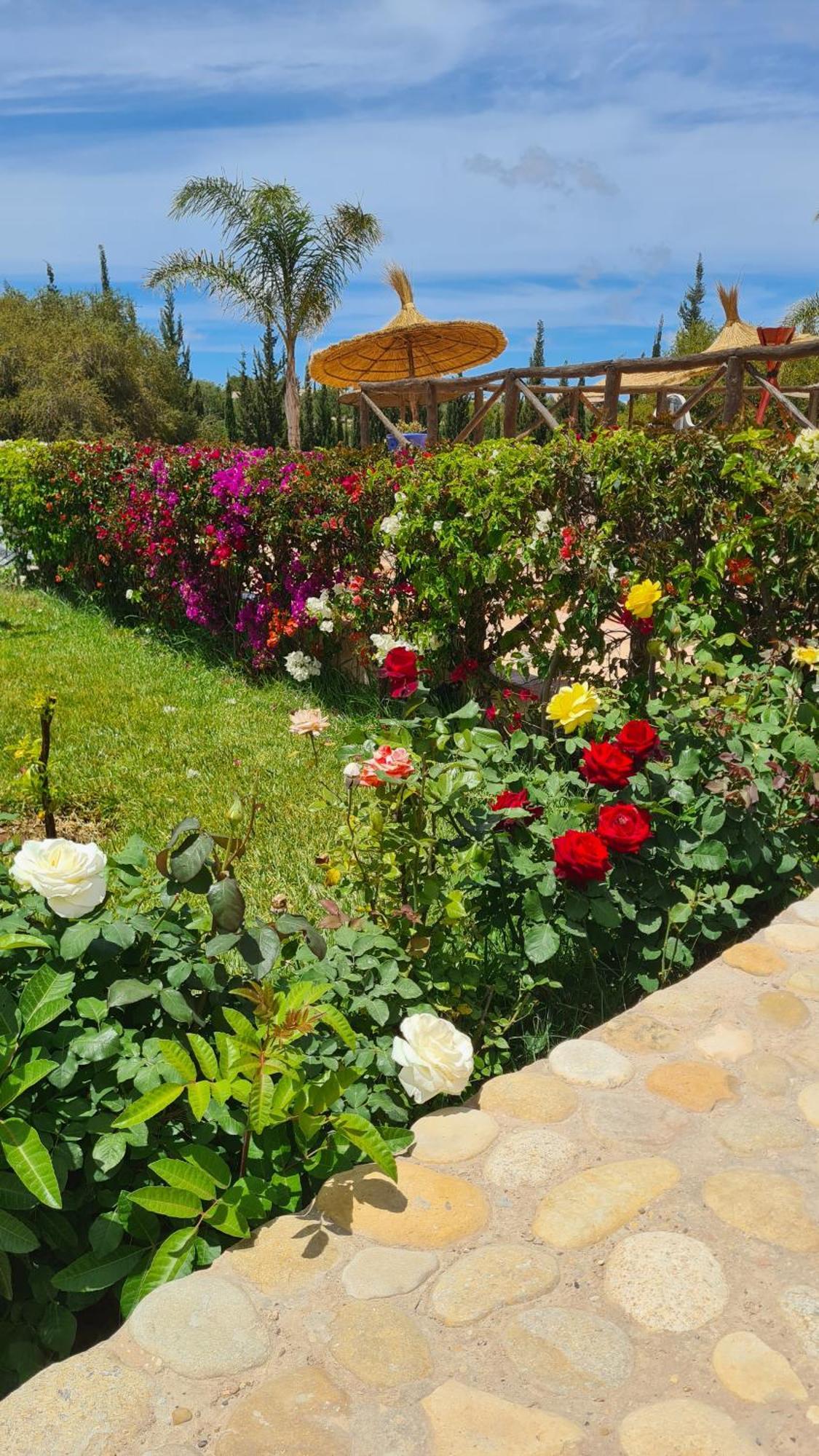 Villa Amma Εσαουίρα Εξωτερικό φωτογραφία